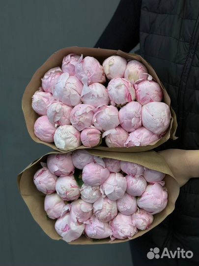 Букеты из пионов с доставкой