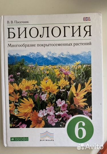 Учебники 5-6 классы