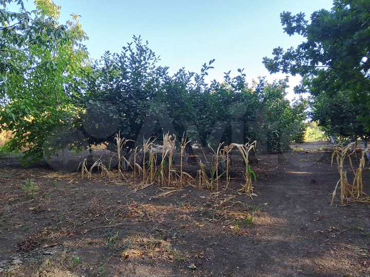 Дом 140 м² на участке 15 сот.