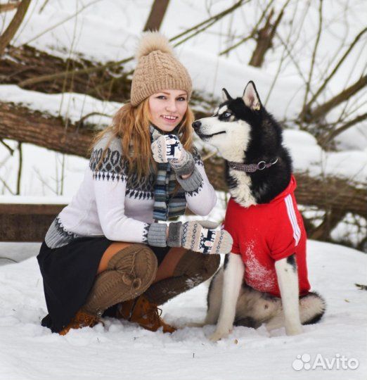 Выгул животных и уход за ними