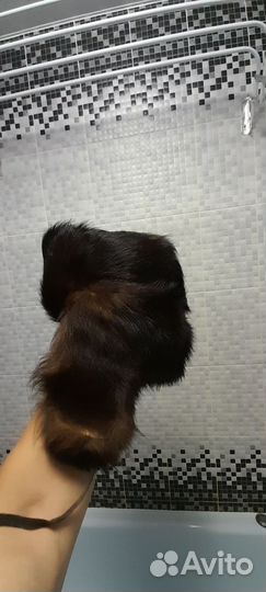 Шапка ушанка из собачьей шерсти