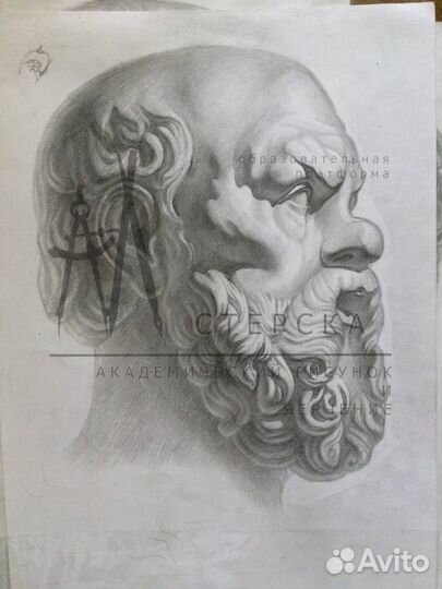 Репетитор по академическому рисунку мархи