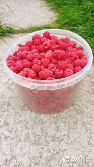 Малина ягоды