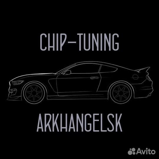 Chip Garage* - чип тюнинг в Архангельске