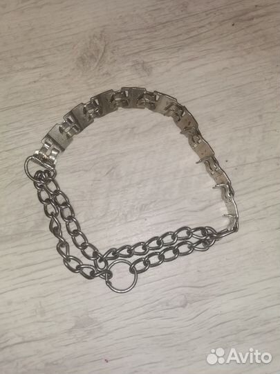 Ошейник для собак