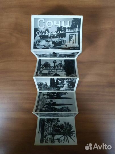 Фотоальбом Дендрарий Сочи 1954 год СССР