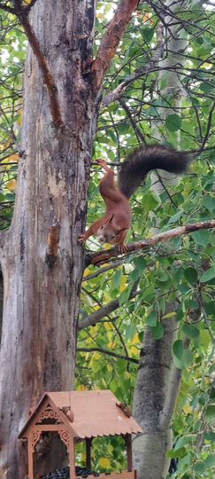 Дача 35 м² на участке 9 сот.