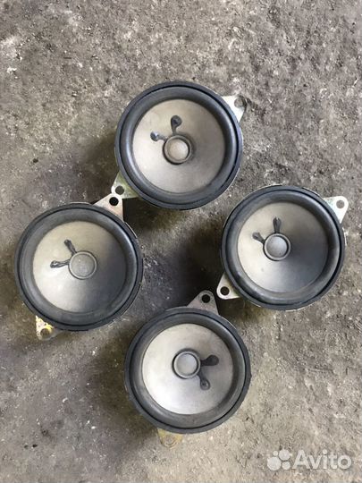 Динамики с торпеды