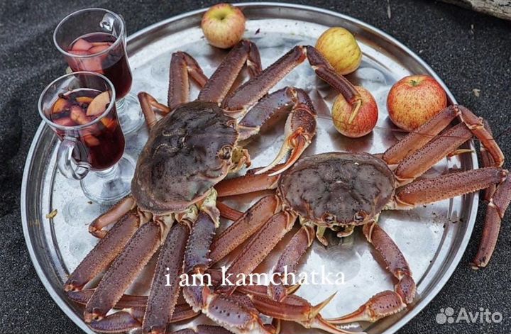 Ланч на Тихом океане. Туры Камчатка