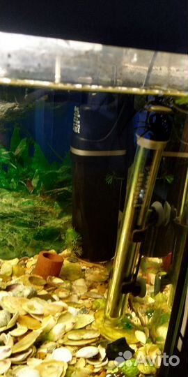 Аквариум 60л Акваэль полный комплект