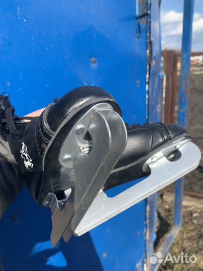 Коньки двухполозые