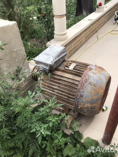 Электродвигатель 380 37квт