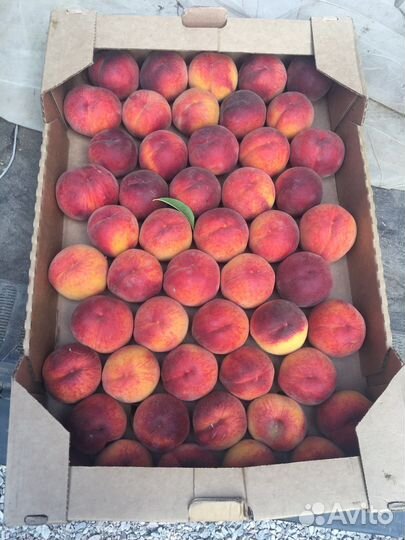 Персик, арбуз