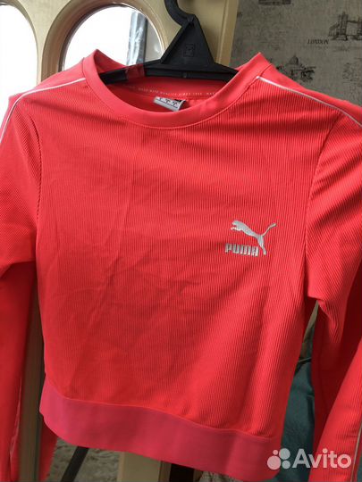 Лонглив спортивный