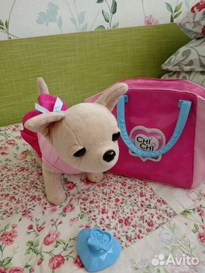 Собака Chi Chi love