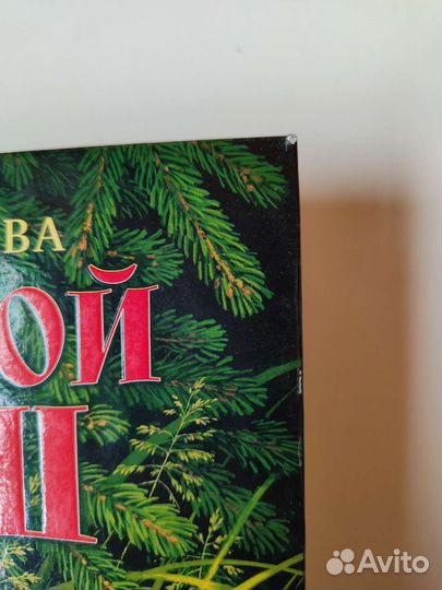 Большой Кыш Мила Блинова