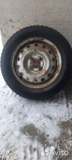 Nexen Winguard Spike WS62 175/65 R14