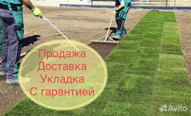 Рулонный газон «Премиум» с укладкой купить в Тюмени | Товары для дома и ...