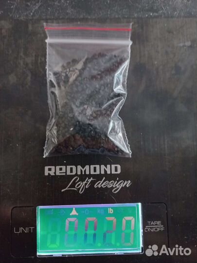 Семена лука чернушка Штудгартер