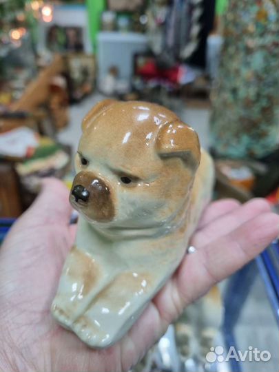 Фарфор статуэтка чау-чау лфз СССР. Клейм нет