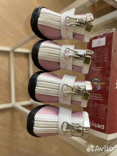 Одежда для собак мелких пород