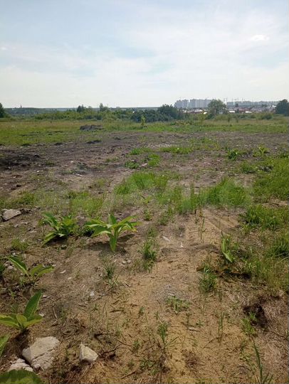 Участок 8 сот. (ИЖС)