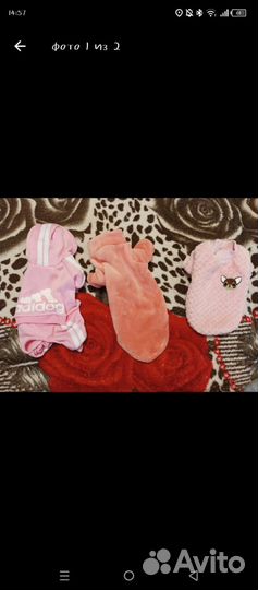 Одежда для собак мелких пород