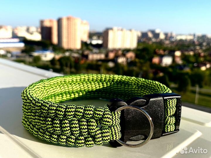 Ошейник из паракорда