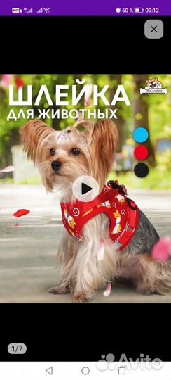 Шлейка для средней собаки