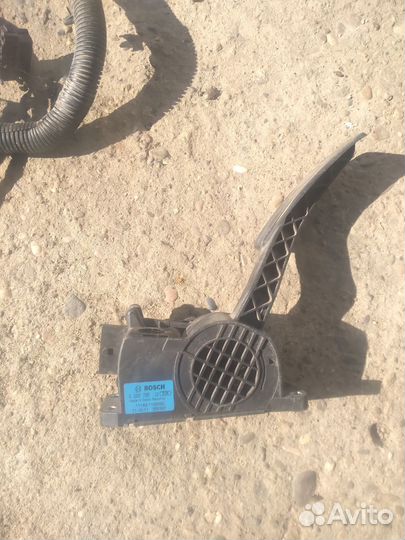 Коса лада калина