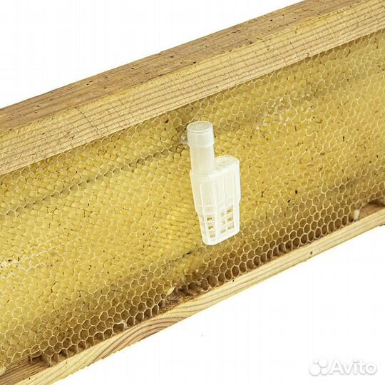 100 шт. Клеточка для подсадки матки (с местом для