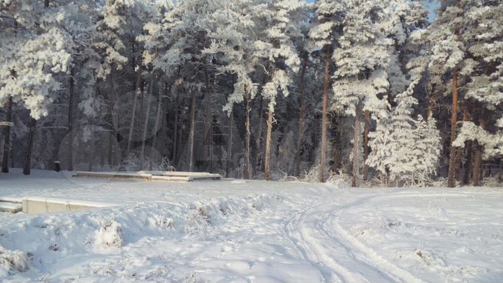 Участок 8 сот. (СНТ, ДНП)