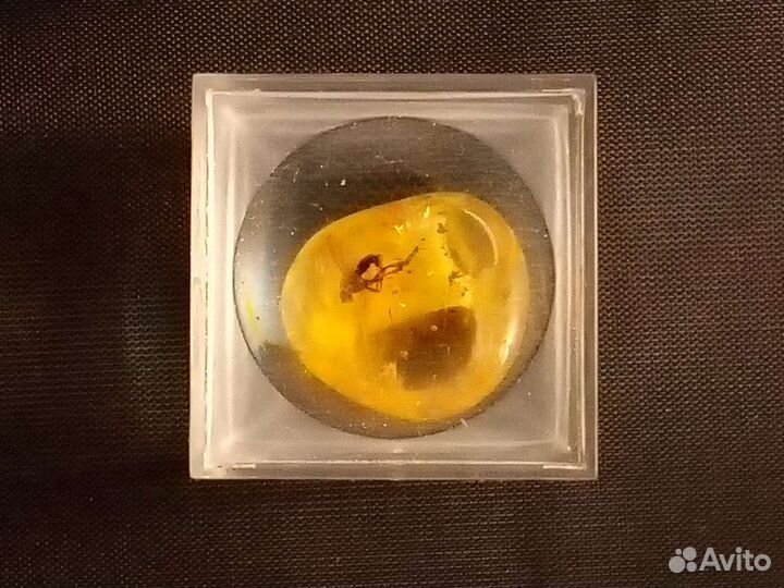 Янтарь с инклюзами