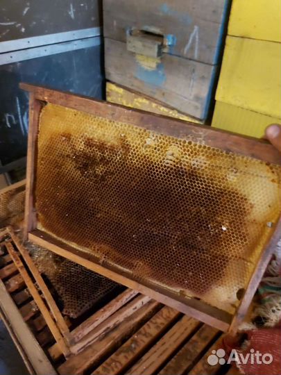 Рамки для ульев сушь