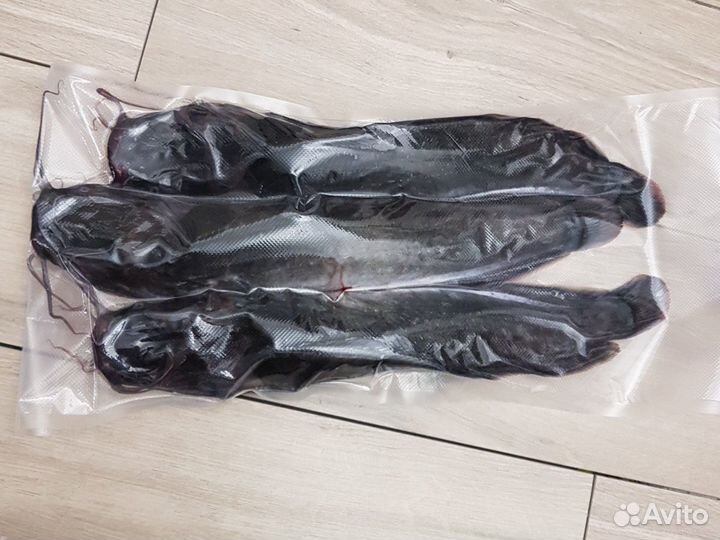 Рыба свежая, живая