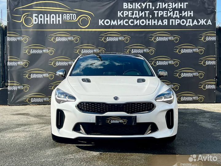 Kia Stinger 3.3 AT, 2019, 50 500 км