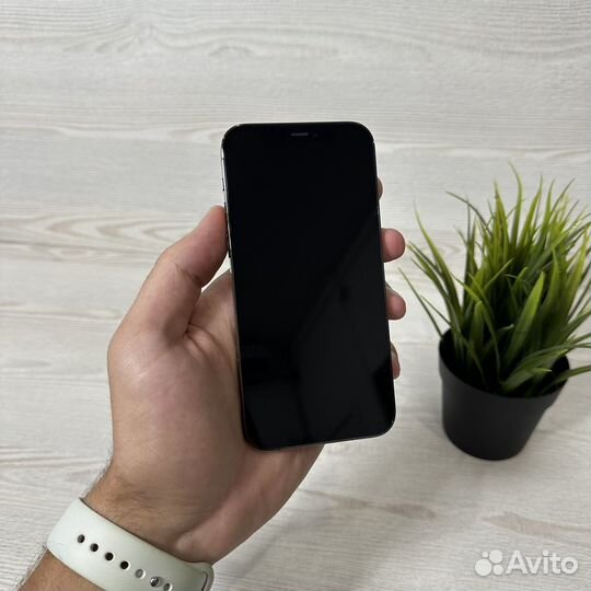 iPhone 12 Pro, 256 ГБ