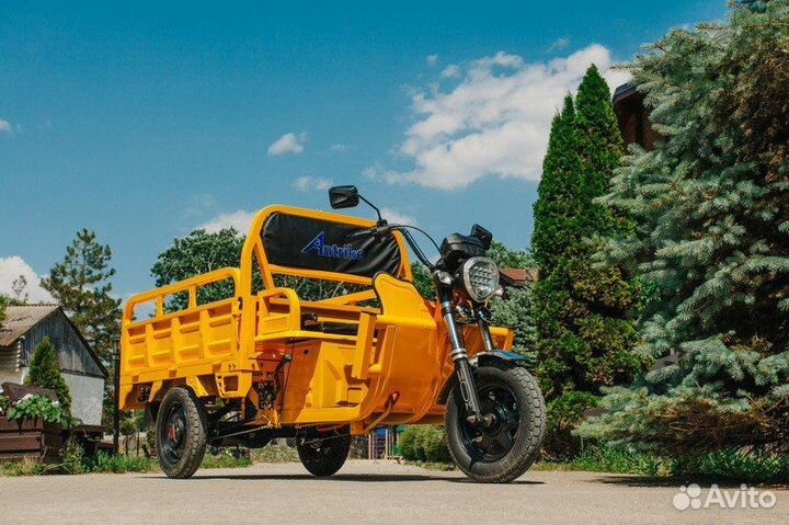 Грузовой электротрицикл Antrike 500