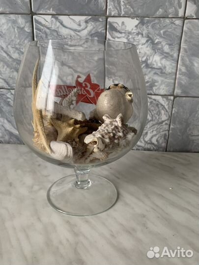 Продаю ракушки