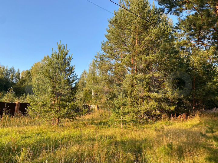 Участок 10 сот. (ИЖС)