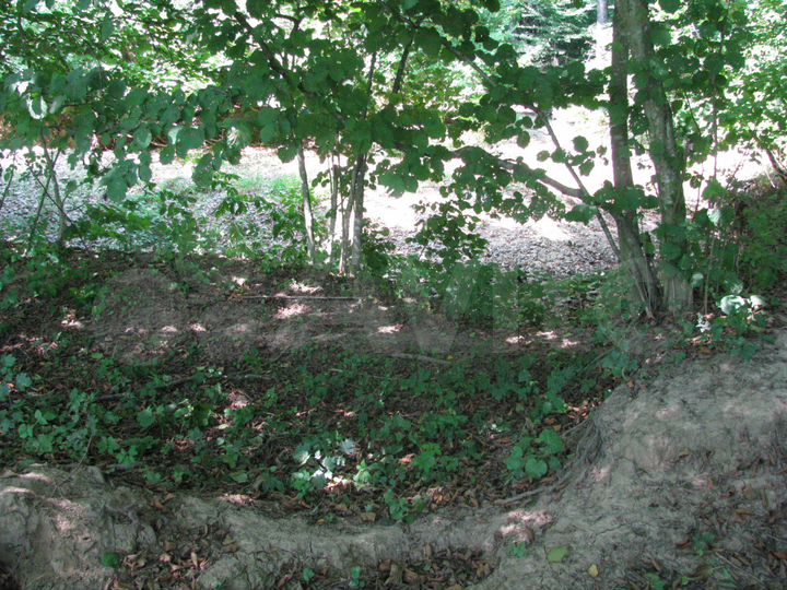 Участок 15 сот. (ИЖС)