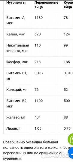 Яйца перепелиные домашние