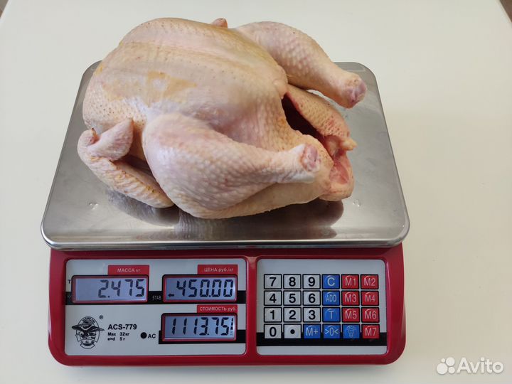 Домашнее мясо кур бройлера