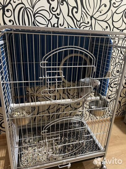 Клетка для большого попугая