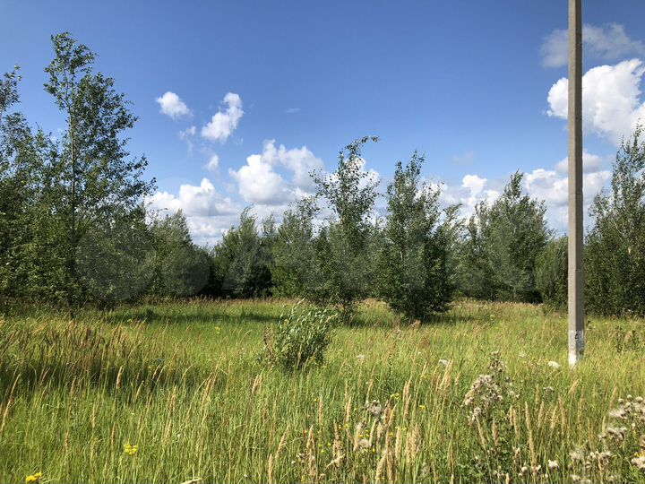 Участок 15000 га (СНТ, ДНП)