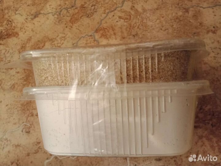 Террариумы для улиток с полным наполнением