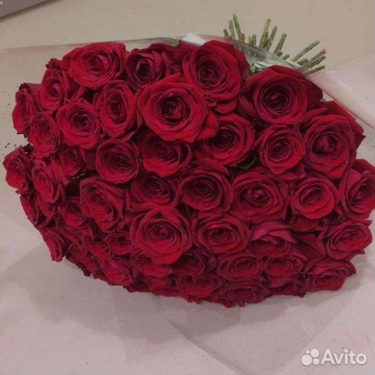 Цветы розы оптом. Розы красные. Букет из роз