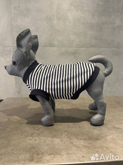 Одежда для животных