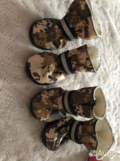 Обувь для собак