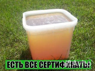 Мёд Оптом с Алтая